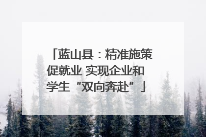 蓝山县：精准施策促就业 实现企业和学生“双向奔赴”